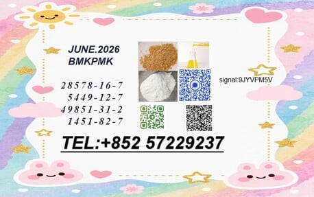 Kabul, Sports, 28578-16-7 PMK Competitive Price NEW 5449-12-7 BMK  Consistent Quality Premium