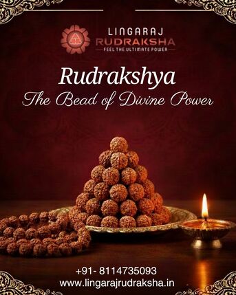 Odisha, Jewelry, Original & Certified Rudraksha Shop In Berhampur I Lingaraj Rudraksha