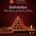 Original & Certified Rudraksha Shop In Berhampur I Lingaraj Rudraksha
