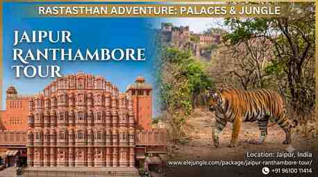 Jaipur, Travel, Experience Heritage And Safari On A Jaipur Ranthambore Tour