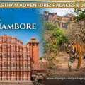 Experience Heritage And Safari On A Jaipur Ranthambore Tour