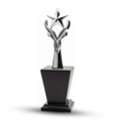 INR 1,  Metal Star Trophies