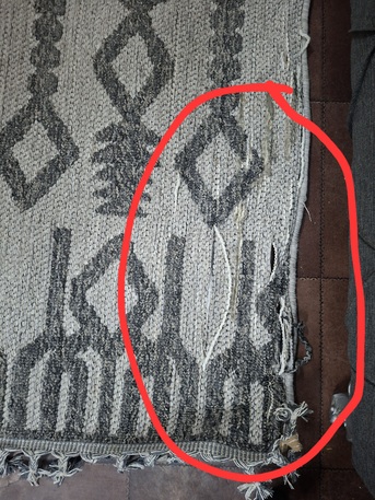 Jubail, Household Items, SAR 20,  SR 20 Centre Carpet 122×78 Inches