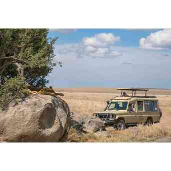 New York, Business, Tanzania Travel Packages