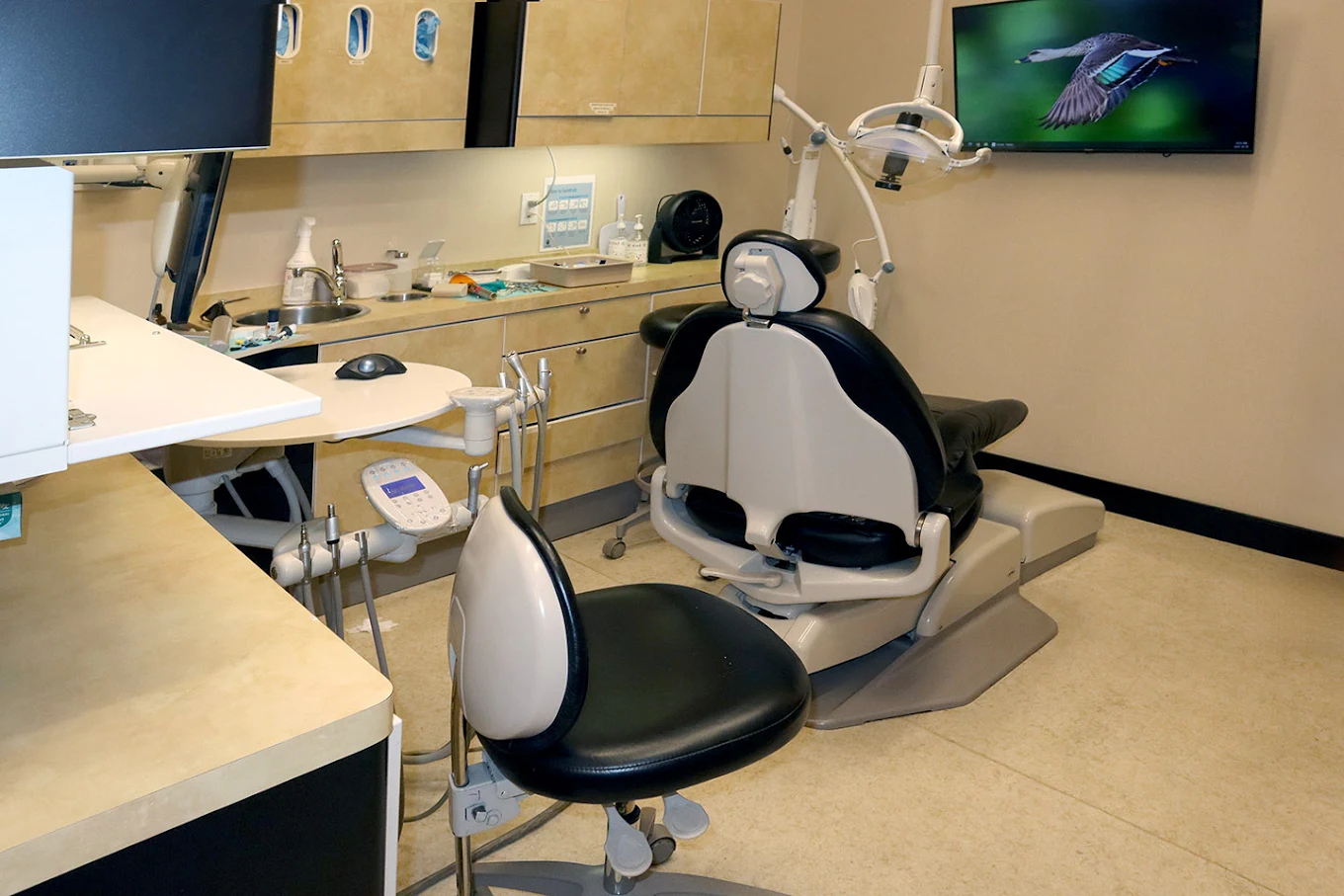 Toronto, Dental, Mulberry Dental | Trusted Dental Clinic In Burnaby