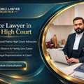 Looking For Divorce Lawyer In Patna High Court For A Family Issue?