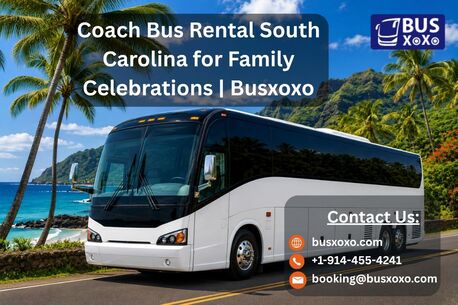 Chicago, Travel, Coach Bus Rental South Carolina For Family Celebrations | Busxoxo