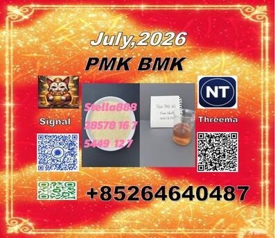Hong Kong, Video Games, CNY 100,  New B.MK CAS 5449-12-7 PM.K Cost-effective Solution