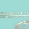 K-Beauty Balm Stick - Balaeyon