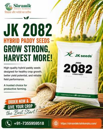 Mumbai, Materials, INR 599,  Quality Seeds Dealers Online | Shramik Krishi Kendra