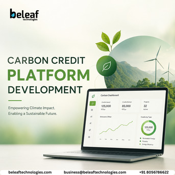 New York, Business, Can A Carbon Credit Platform Accelerate Your Net-Zero Strategy?