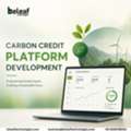 Can A Carbon Credit Platform Accelerate Your Net-Zero Strategy?