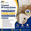 Professional DP Cream System For Long-Lasting Damp Protection
