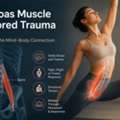 Psoas Muscle And Stored Trauma &mdash; Why Hip Stretches Trigger Tears | Coach For Mind