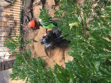 Sydney, Farm/Garden, Land Clearing Lane Cove - Sam