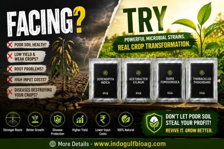 New York, Farm & Garden, USD 50,  Root Rot Issues In Fields? Control It With Microbial Strains &ndash; Contact Now