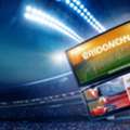 INR 100,  Guru Bet &ndash; Cricket & Casino In One Spot