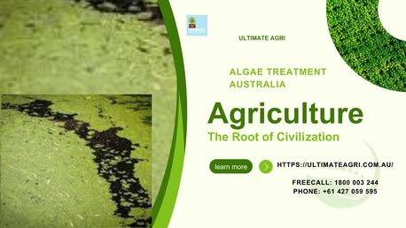 Melbourne, Farm & Garden, Algae Treatment Australia