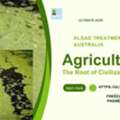 Algae Treatment Australia
