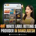 Fine777 Betting Website Provider In Bangladesh