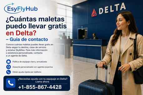 New York, Travel, ¿Cuántas Maletas Puedo Llevar Gratis En Delta? &ndash; Guía De Contacto