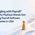 Struggling With Payroll? See Why PayEaze Stands Out Among Payroll Software Companies In US