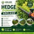 Professional Hedge Trimming Adelaide | Adelaide Tree Removal Services