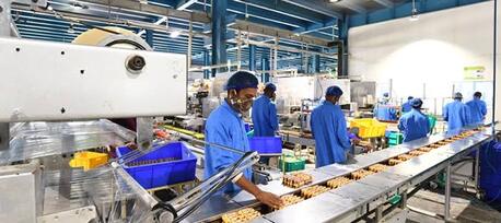 Jeddah, Jobs, BISCUITS FACTORY NEED (TRANSFER SPONSORSHIP)