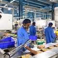 BISCUITS FACTORY NEED (TRANSFER SPONSORSHIP)