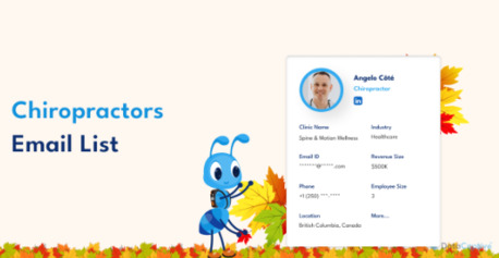 Toronto, Business, Reach Verified Chiropractors And Grow Your Healthcare B2B Network