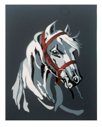 Manama, Photo & Video, BHD 13,  CANVAS PAINTING FOR SALE