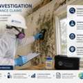 Mold Investigation For Insurance Claims