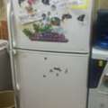 SAR 450,  Toshiba Large Fridge For Sale SR 450