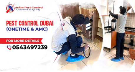 Silicon Oasis, Free Items, AED 150,  # Professional Pest Removal &ndash; Best Service & Prices!