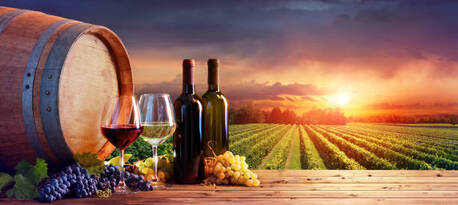 Sydney, Food & Drink, Discover Memorable Wine Experiences At Wineries In McLaren Vale