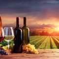 Discover Memorable Wine Experiences At Wineries In McLaren Vale