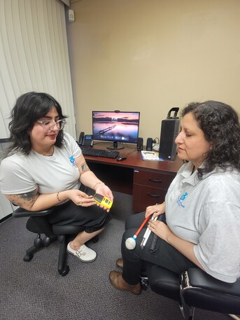 Los Angeles, Health, Blind & Low Vision Services (BLVS) In Orange County