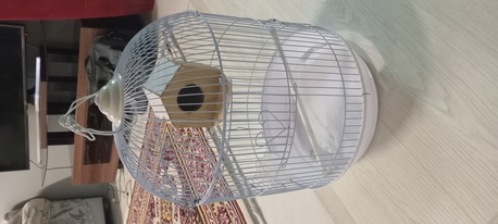 Riyadh, Household Items, SAR 15,  Medium Size Bird Cage