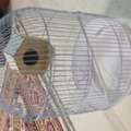 SAR 15,  Medium Size Bird Cage