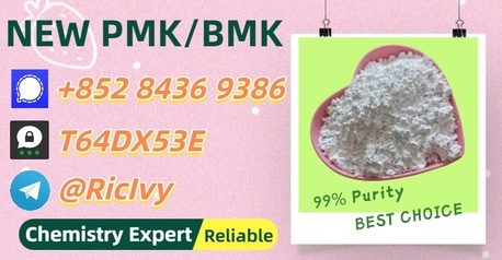 Sydney, Materials, AUD 200,  Worldwide Trading Vendor 28578-16-7 Powder 5449-12-7 P.MK Oil