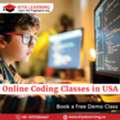 Online Coding Classes In Chicago, Illinois