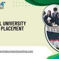 Uttaranchal University Online (BCA) Placement