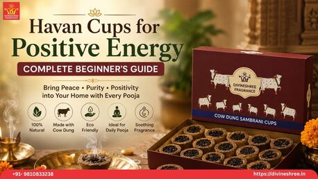 New Delhi, Appliances, INR 500,  Havan Cups For Positive Energy: Complete Beginner