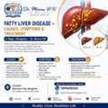 Fatty Liver Disease &ndash; Causes, Symptoms & Treatment In Begur, Bangalore &ndash; Dr. Mouna HN