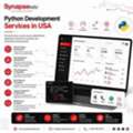 Python Development Services In USA For Custom Business Applications