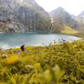 Best Kashmir Tour Packages For Honeymoon Couples
