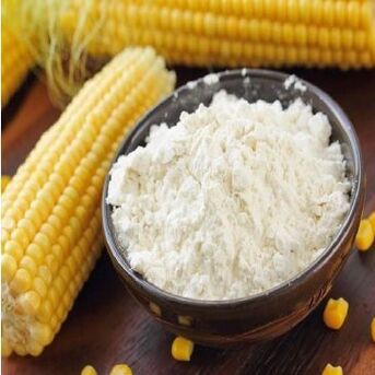 Cape Town, Food, Premium Corn Flour Exporter