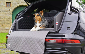 Berlin, Pet Sitting, Hundebetten F&uuml;rs Auto &ndash; Komfort F&uuml;r Jede Autofahrt Sicher