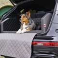 Hundebetten F&uuml;rs Auto &ndash; Komfort F&uuml;r Jede Autofahrt Sicher