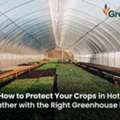 High-Yield Greenhouse Films | Crop Protection | GreenPro  Ventures